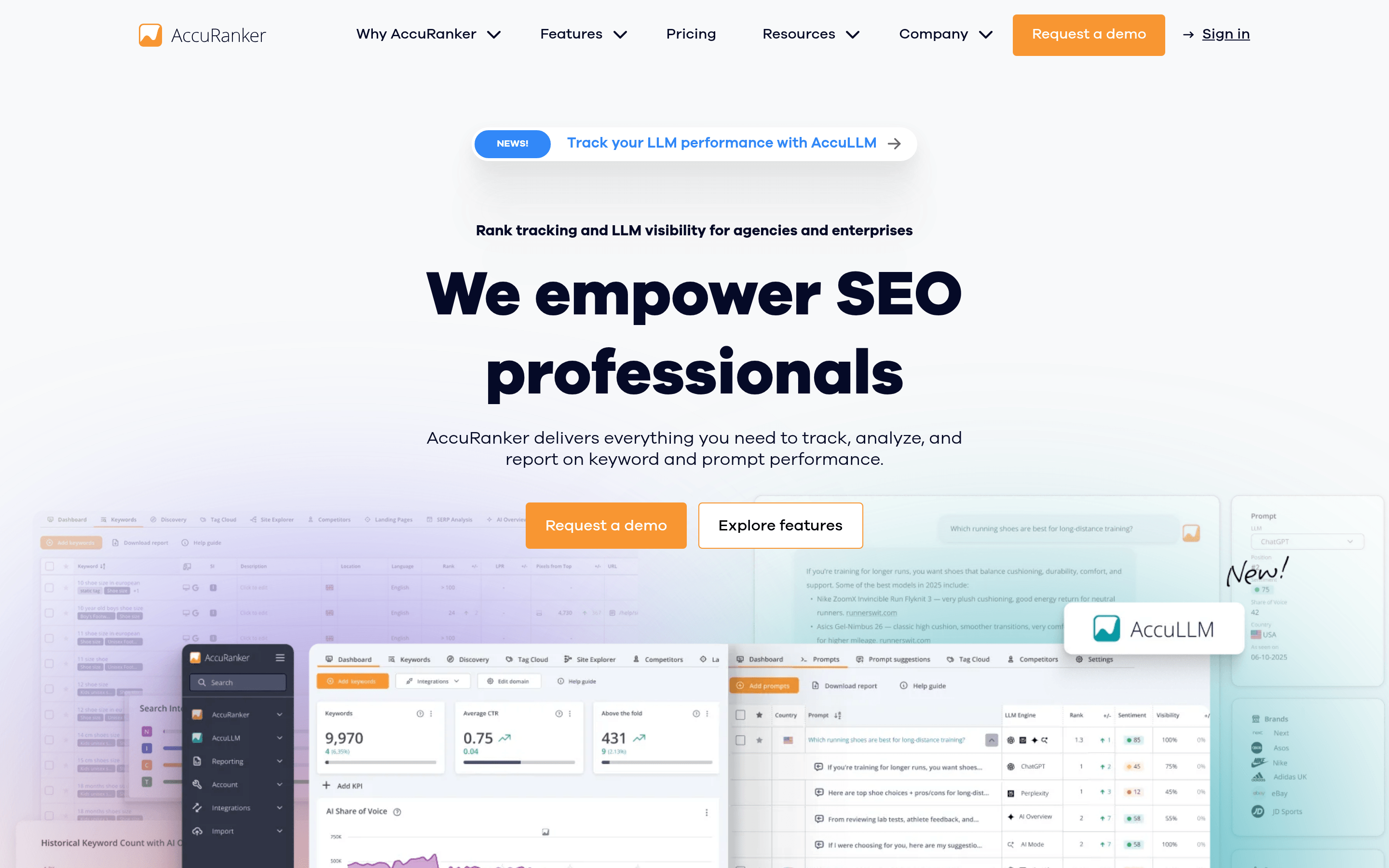 AccuRanker dashboard showing keyword rank tracking and SERP data